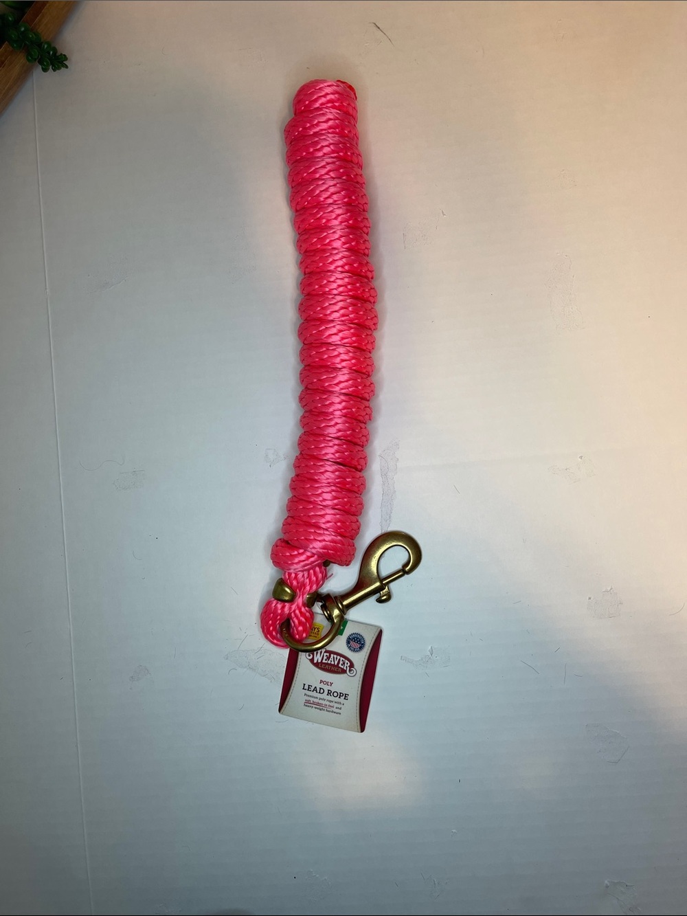 Weavers Hot Pink Braided Lead Rope with Brass Snap